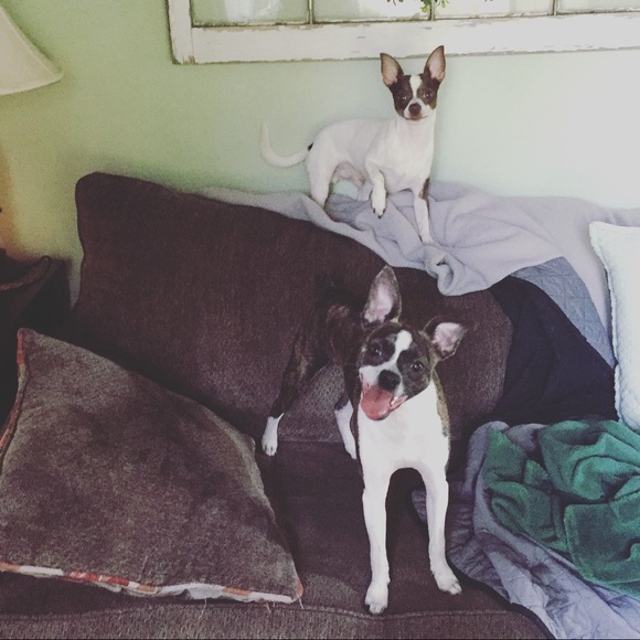 Meet your Posher, Rachel - Picture 3 of 3